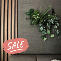 Wandplanter