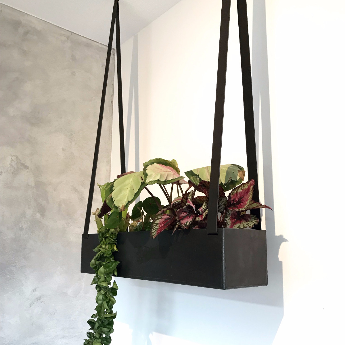 Hiel breedte plafond Unieke hangende plantenbak | Handles and more