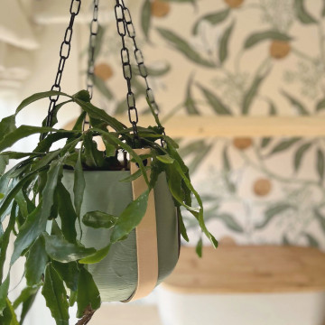 Leren plantenhanger / Cognac